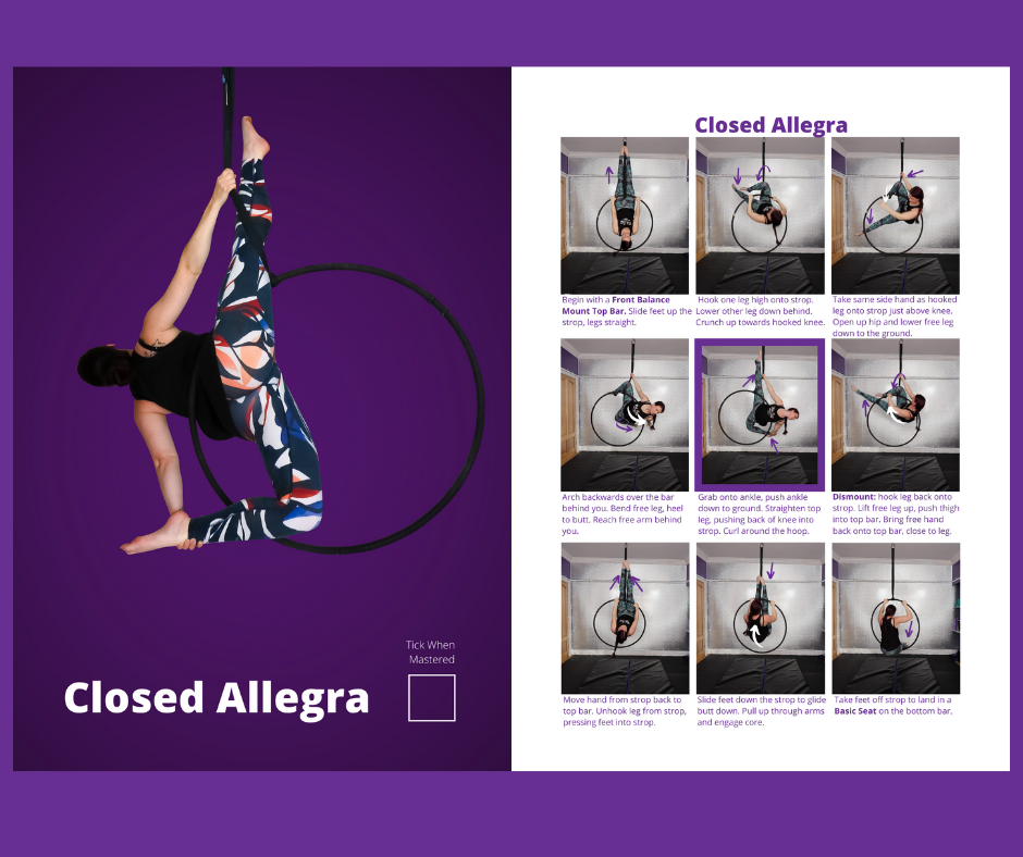 Aerial Hoop Tricks Book Vol 2